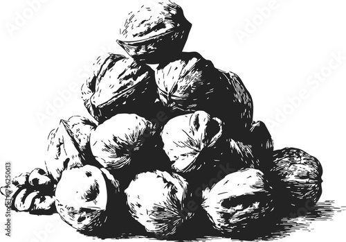 Walnuts sketch hand drawn pile of whole unshelled nuts in black and white — stock vector