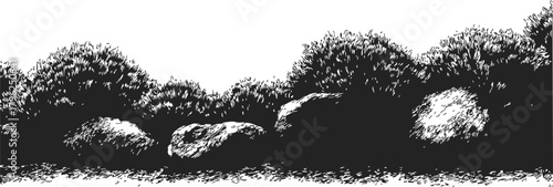 Bushes and rocks sketch, hand drawn landscape border with dense foliage and large stones — stock vector