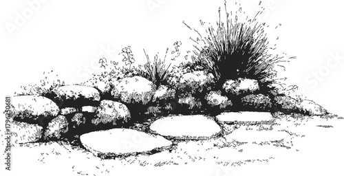 Rock garden sketch, hand drawn style with ornamental grasses and stone pathway — stock vector