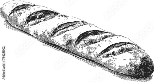 Baguette sketch, hand drawn French bread with crisp crust and diagonal slashes — stock vector