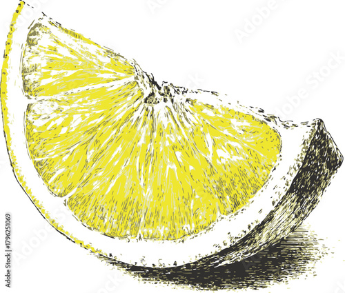 Lemon wedge sketch hand drawn style with detailed citrus texture and shadow — stock vector