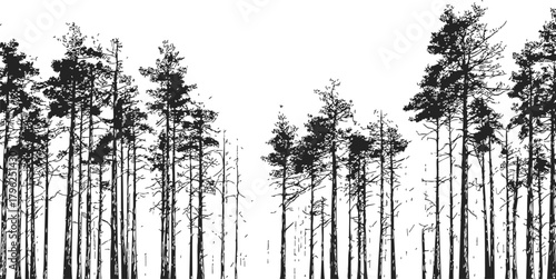 Pine forest silhouette, hand drawn sketch style landscape with tall coniferous trees — stock vector