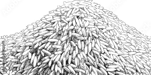 Rice grains sketch hand drawn pile detailed monochrome illustration — stock vector
