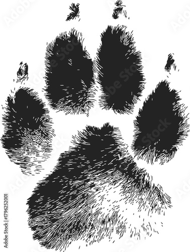 Wolf paw print sketch, hand drawn style, detailed textured animal track — stock vector
