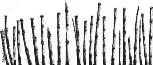 Bamboo poles sketch hand drawn in irregular vertical arrangement — stock vector