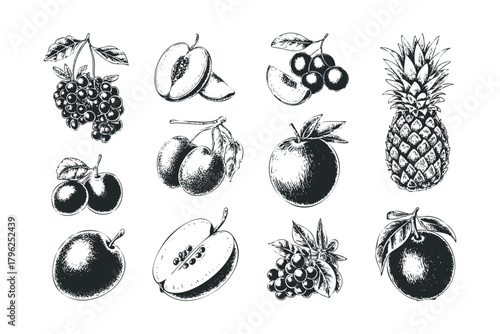 Collection of sketched fruits including grapes, pineapple, apple, cherries and plum