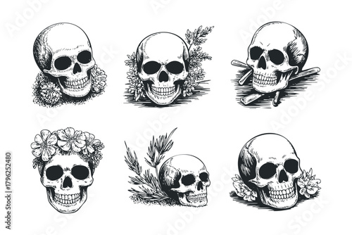 Collection of six detailed skull illustrations with floral and natural elements