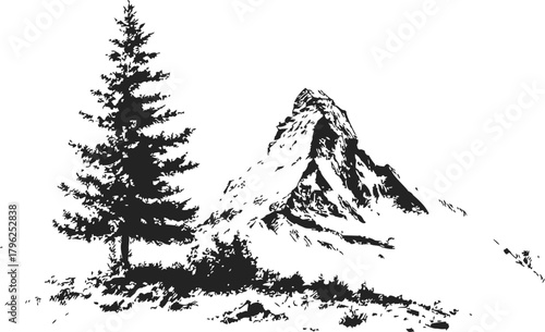 Pine tree and mountain peak sketch, hand drawn landscape scene — stock vector