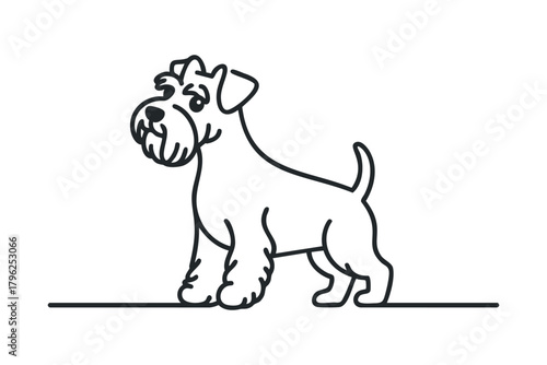 Friendly Miniature Schnauzer dog line art