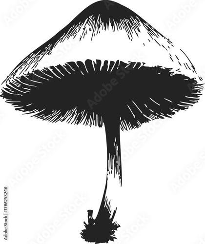 Mushroom sketch hand drawn black and white botanical illustration — stock vector