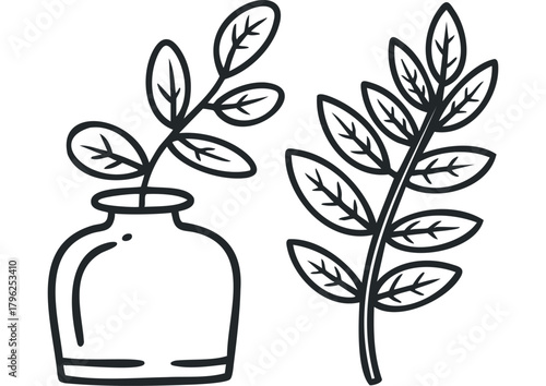 Line art of foliage in a vase and a separate branch