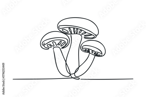 Line art cluster of edible mushrooms on white background