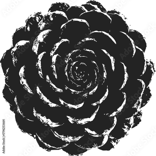 Pine cone sketch hand drawn top view detailed botanical illustration — stock vector