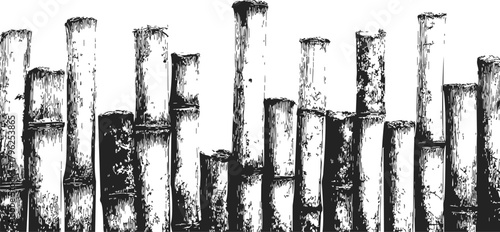 Bamboo stalks sketch hand drawn black and white vertical seamless border — stock vector