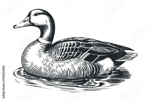 Duck swimming on water surface in a graphic style