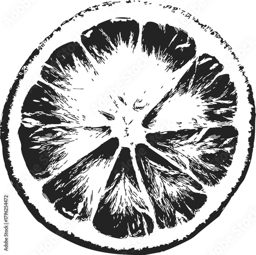 Lemon slice sketch hand drawn citrus fruit cross section in black and white — stock vector