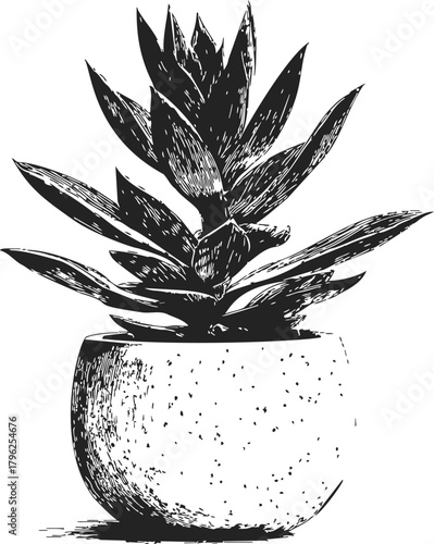 Succulent plant sketch hand drawn in ceramic pot, detailed botanical illustration — stock vector