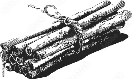 Cinnamon sticks sketch, hand drawn bundle tied with string — stock vector