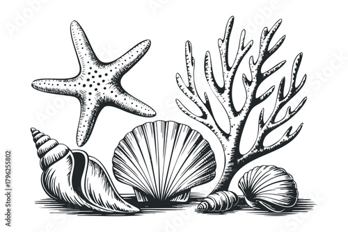 Seashells and Coral Branch Arrangement