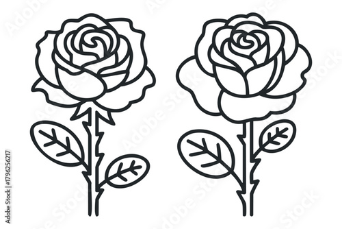 Two outline roses with stems and leaves on white background