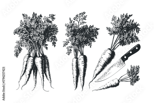Bunch of carrots with leafy tops and kitchen knife