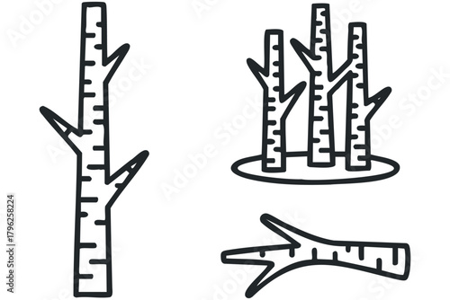 Abstract linear depiction of birch tree trunks
