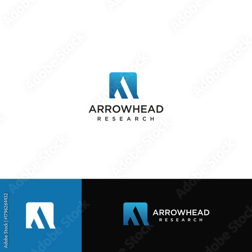 Sleek and modern arrowhead logo featuring sharp geometric lines and a bold directional shape. Represents speed, precision, focus, leadership, and forward movement.