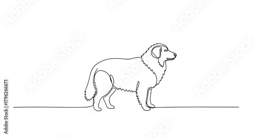 Sheepdog on frosty trail symbolizing loyalty, vigilance and winter duty