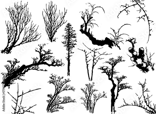 Silhouette of different trees and branch isolated on a white background
