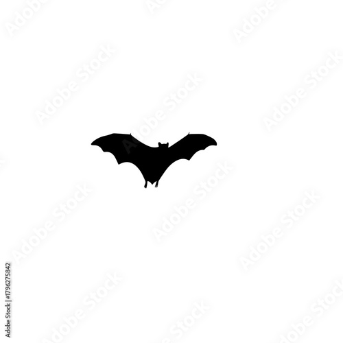 Black silhouette of a bat flying against a white background.
