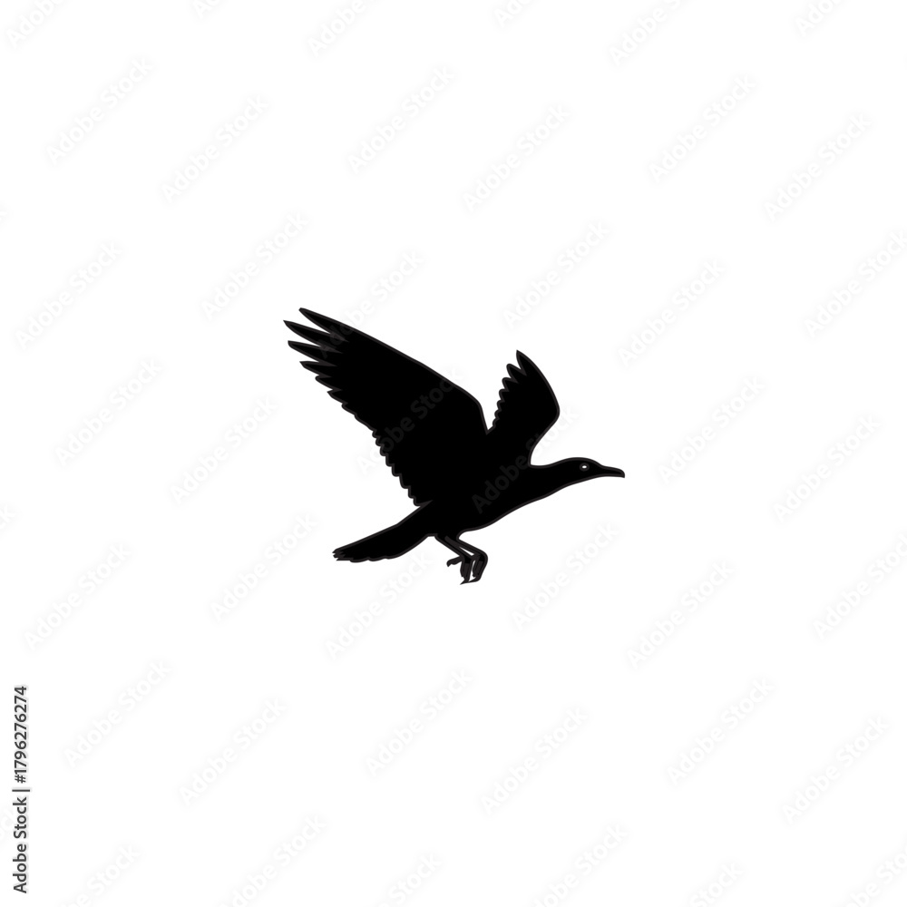 Fototapeta premium Silhouette of a bird in flight.