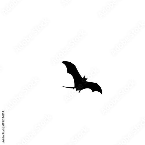 Silhouette of a bat in flight against white background.