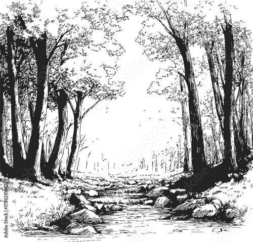Forest stream sketch, hand drawn landscape with trees, rocks, and flowing water — stock vector