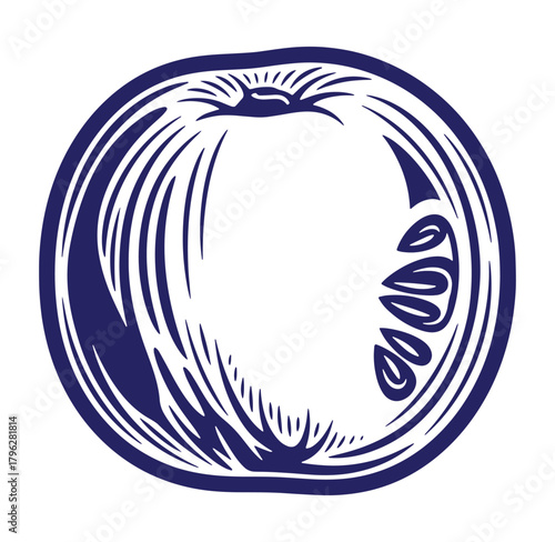 Stylized vector illustration of a ripe melon slice with detailed cross section