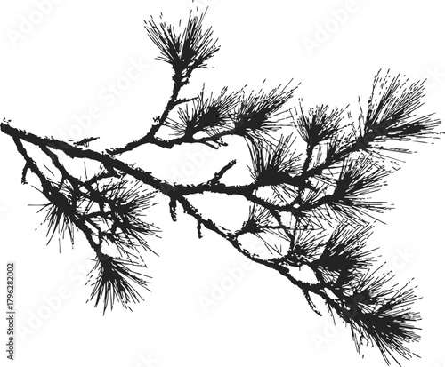 Wallpaper Mural Pine branch sketch hand drawn silhouette with needles and twigs — stock vector Torontodigital.ca