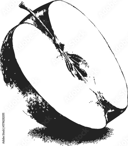 Apple half sketch hand drawn black and white fruit cross section — stock vector
