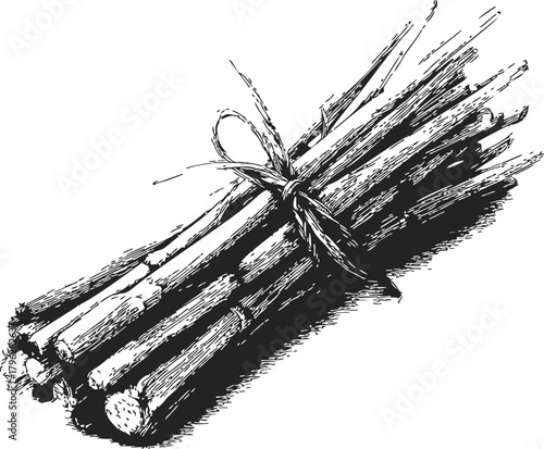Bundle of sticks sketch, hand drawn tied wooden twigs with rope — stock vector