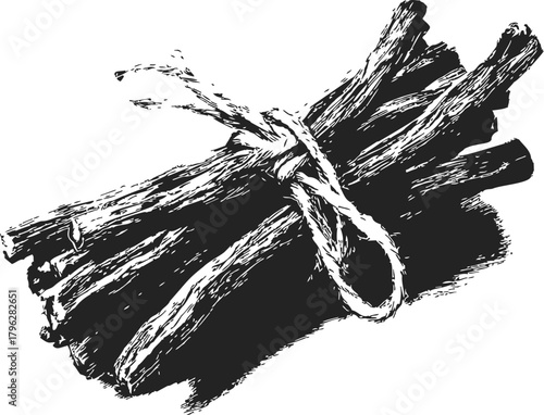 Bundle of sticks sketch, hand drawn rustic firewood tied with rope — stock vector