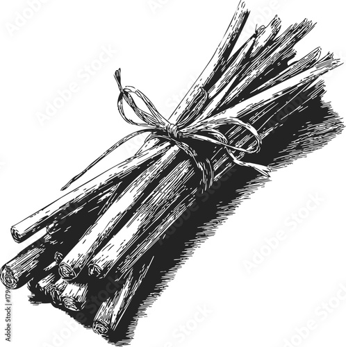 Bundle of sticks sketch hand drawn tied with rope isolated on white — stock vector