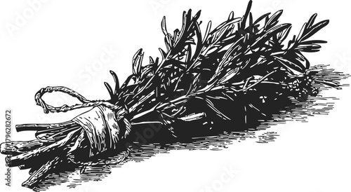 Herb bundle sketch, hand drawn tied aromatic herbs with rustic twine — stock vector