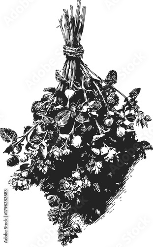 Herb bundle sketch, hand drawn tied aromatic herbs bouquet illustration — stock vector