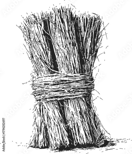 Straw bale sketch hand drawn bundle tied with twine rustic agricultural scene — stock vector