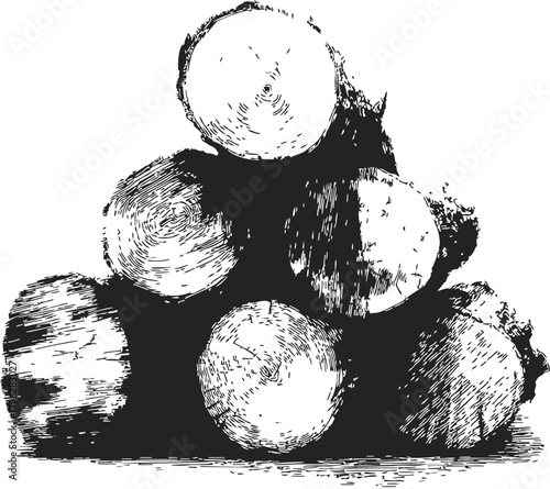 Stacked logs sketch hand drawn woodpile with detailed tree rings and bark — stock vector