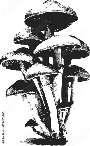 Mushrooms sketch hand drawn cluster with textured caps and stems — stock vector