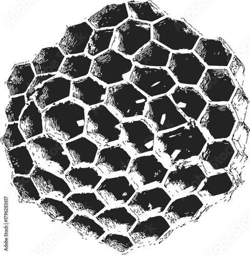 Honeycomb sketch hand drawn hexagonal wax cells closeup — stock vector