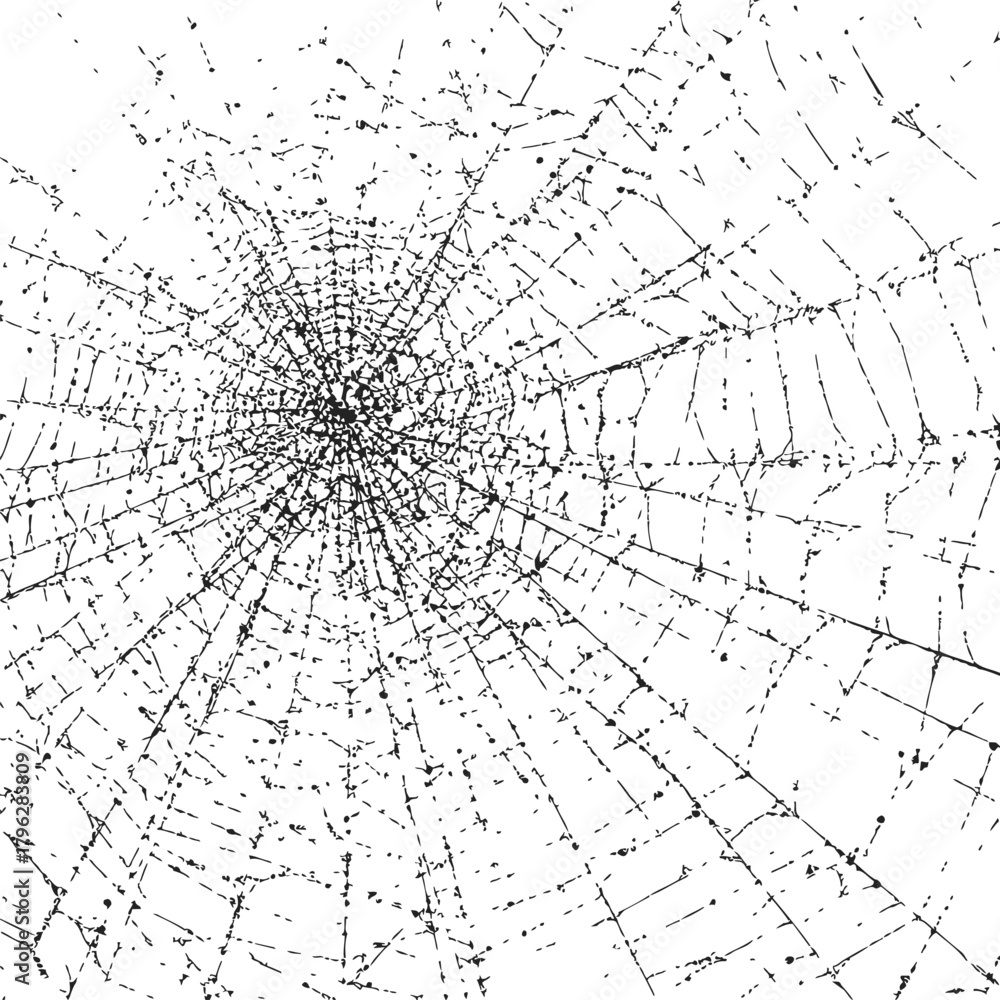 Obraz premium Spider web sketch, hand drawn detailed radial lines, isolated on white background — stock vector