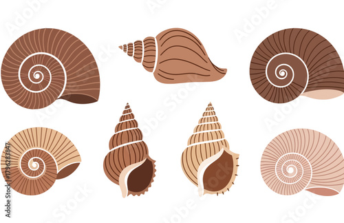 vector collection of sea snails flat design