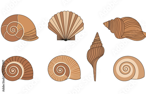 vector collection of sea snails flat design