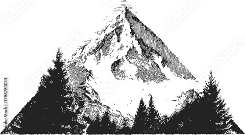 Mountain peak sketch, hand drawn style with pine trees in foreground — stock vector