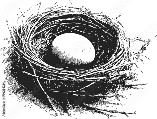Bird nest sketch hand drawn with single egg in natural twigs — stock vector